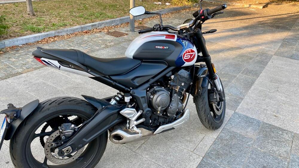 Triumph Trident 660 Triple Tribute Edition (2024) (3)