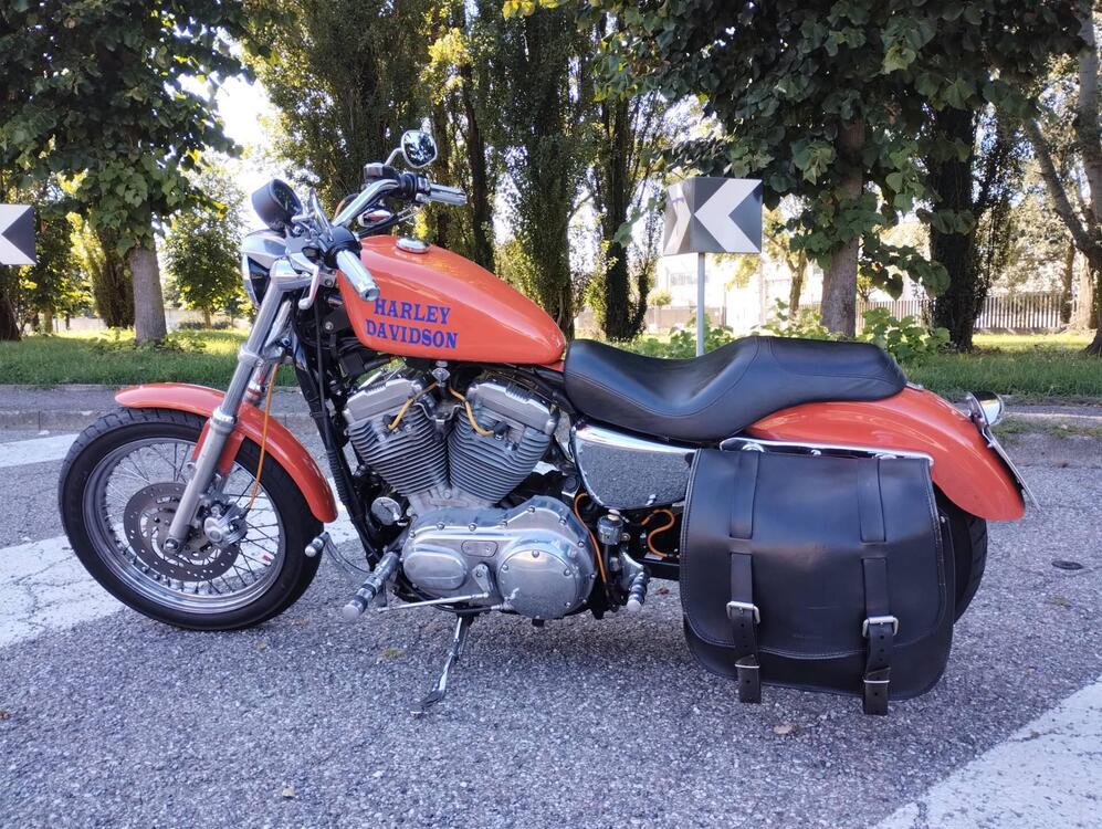 Harley-Davidson 883 Standard (2001 - 05) - XL 883