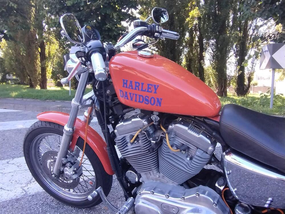 Harley-Davidson 883 Standard (2001 - 05) - XL 883 (4)