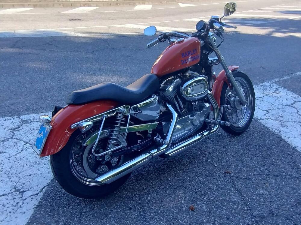 Harley-Davidson 883 Standard (2001 - 05) - XL 883 (5)