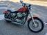 Harley-Davidson 883 Standard (2001 - 05) - XL 883 (13)