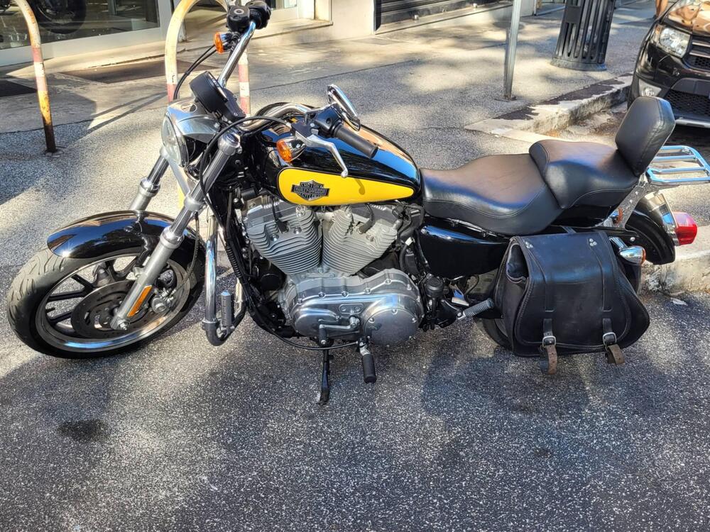 Harley-Davidson 883 Low (2008 - 12) - XL 883L (2)