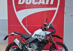 Ducati DesertX Rally (2024 - 25) usata