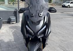 QJ Motor Fort 350 (2024) usata