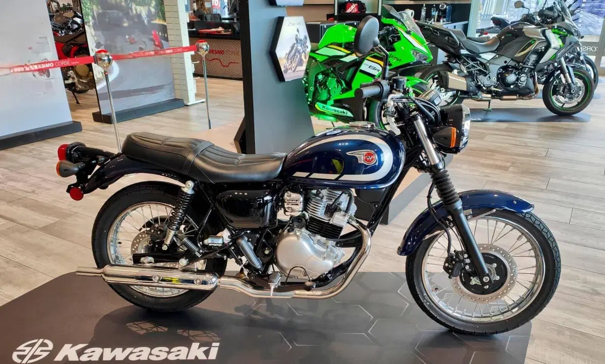 Kawasaki W 230 (2025 - 26)