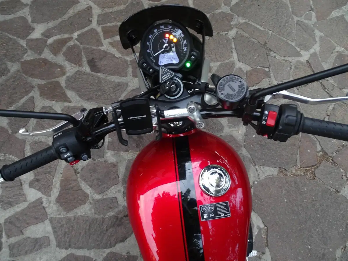 Triumph Speed Twin 900 Chrome Edition (2023) (5)