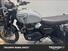 Triumph Scrambler 1200 X (2024 - 25) (6)