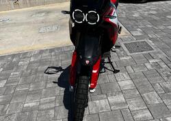 Ducati DesertX Rally (2024 - 25) usata