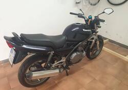Kawasaki ER-5 500 (2001 - 06) usata