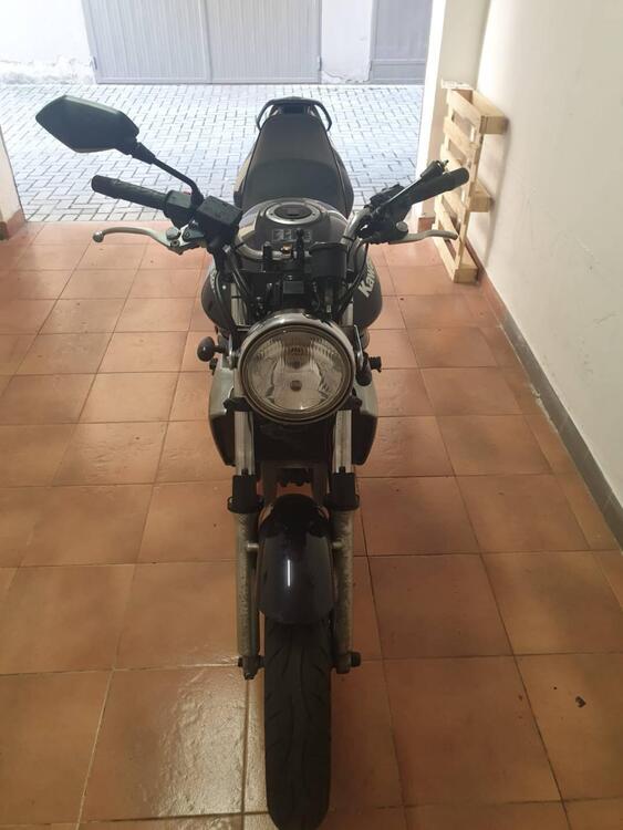 Kawasaki ER-5 500 (2001 - 06) (5)