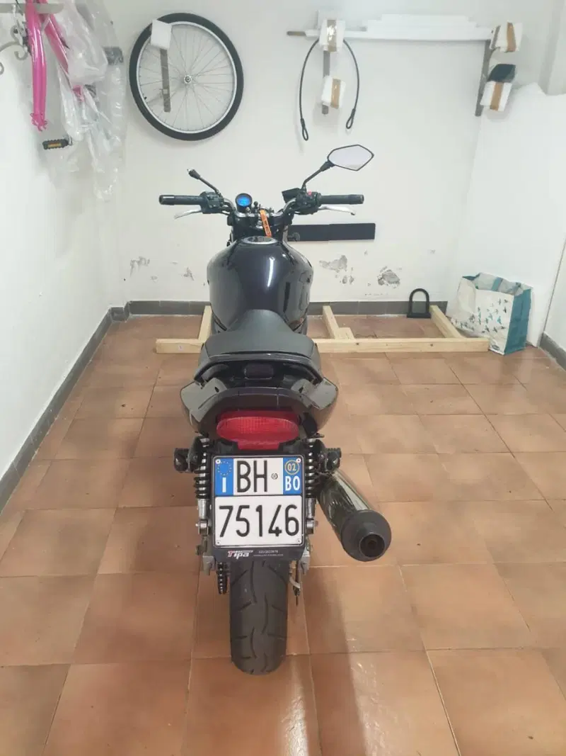 Kawasaki ER-5 500 (2001 - 06) (8)