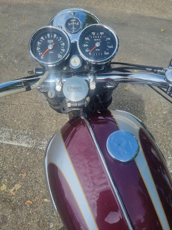 Triumph Bonneville  (2)