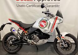 Ducati DesertX (2022 - 25) usata