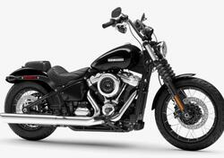 Harley-Davidson Street Bob 117 (2025) usata