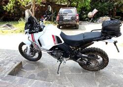 Ducati DesertX (2022 - 25) usata