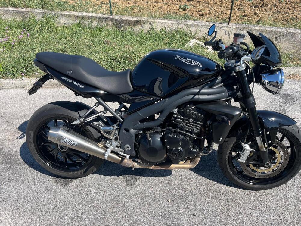 Triumph Speed Triple 1050 (2005 - 11) (2)