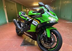 Kawasaki Ninja 636 ZX-6R (2024 - 26) usata