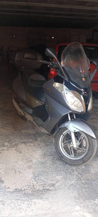 Aprilia Atlantic 250 (2004 - 11) (4)
