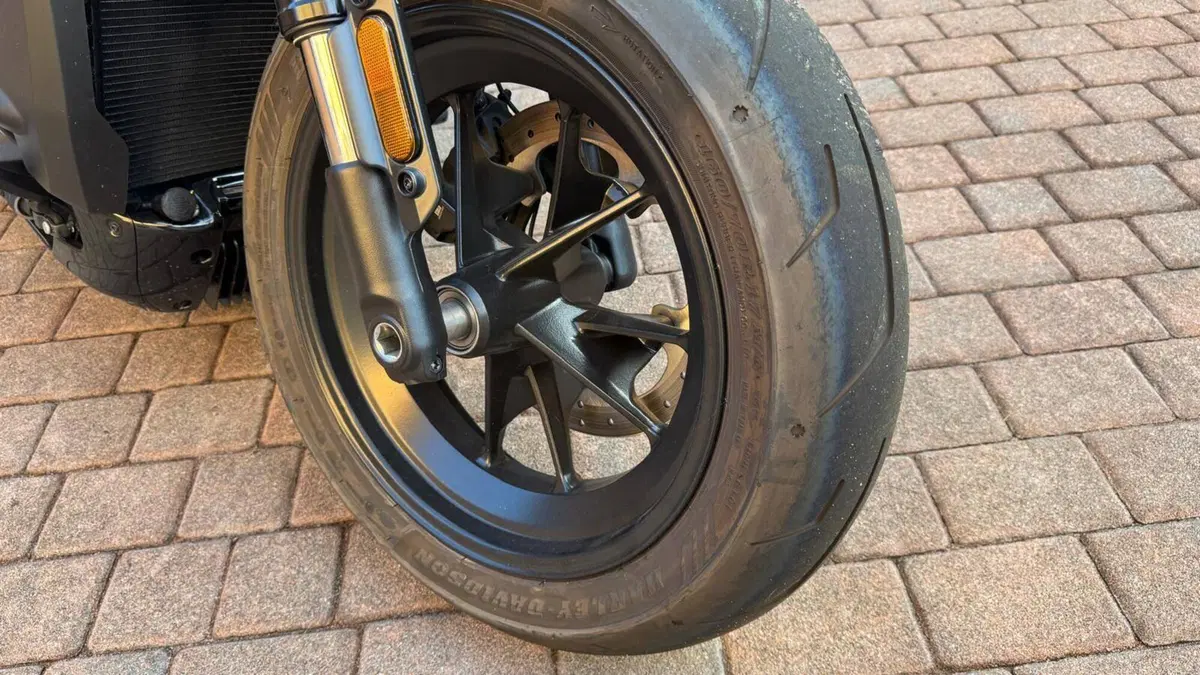 Harley-Davidson Sportster S (2022 - 24) (13)