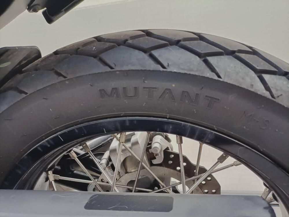 Benelli Leoncino 500 Trail ABS (2017 - 20) (4)