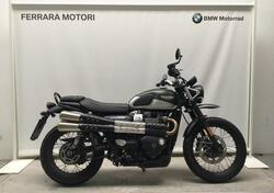 Triumph Street Scrambler 900 (2019 - 20) usata