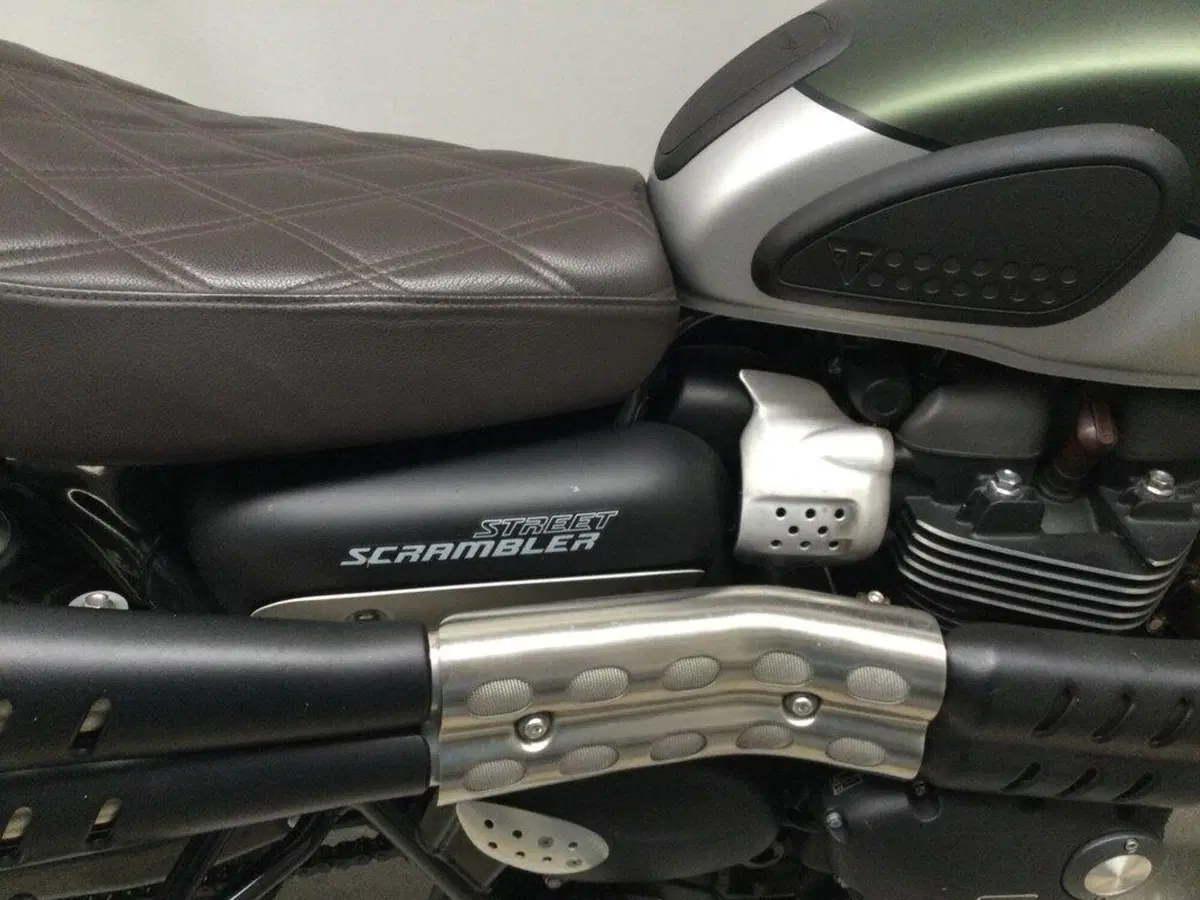 Triumph Street Scrambler 900 (2019 - 20) (9)