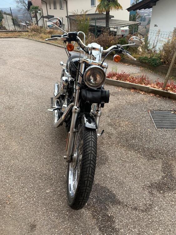 Harley-Davidson 1200 Custom (2004 - 06) - XL 1200C (2)