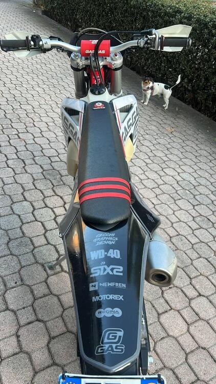 GASGAS EC 250 F (2023) (4)