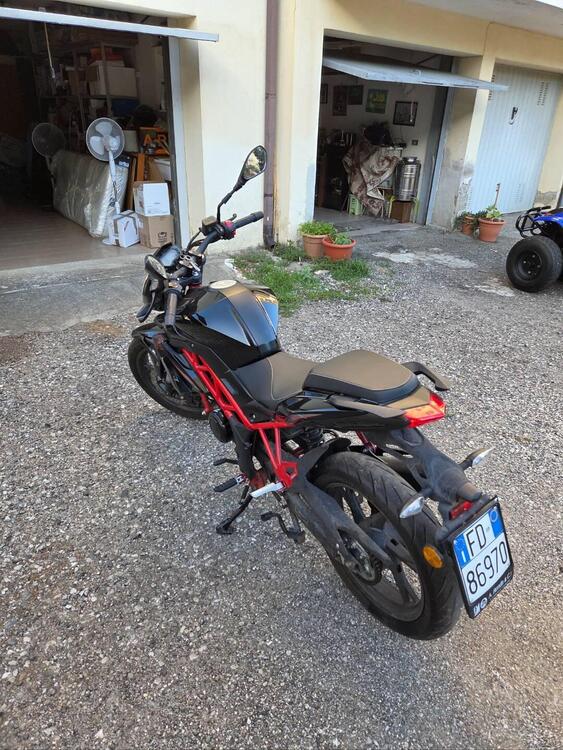 Benelli BN 125 (2021 - 25) (2)