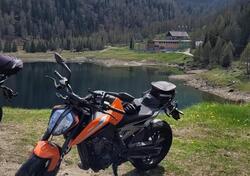 KTM 790 Duke (2018 - 20) usata