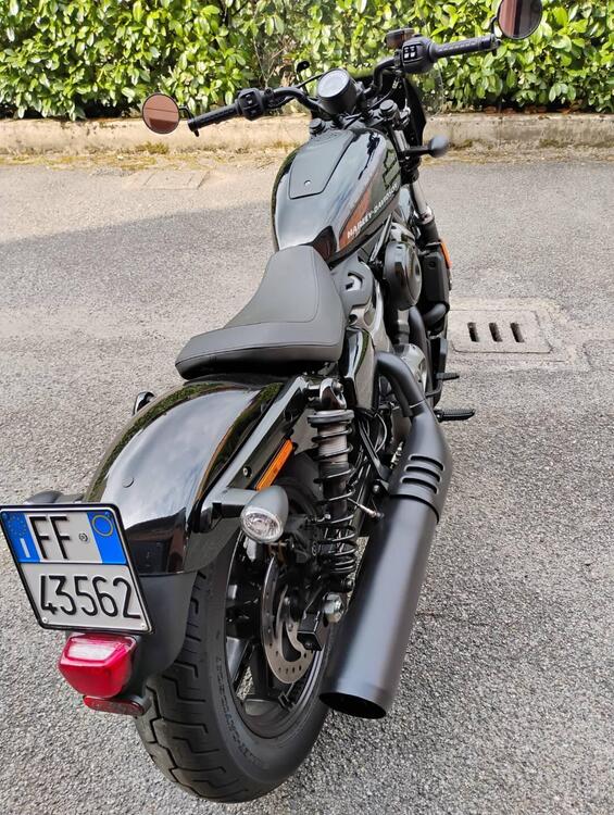 Harley-Davidson Nightster (2023 - 25) (2)