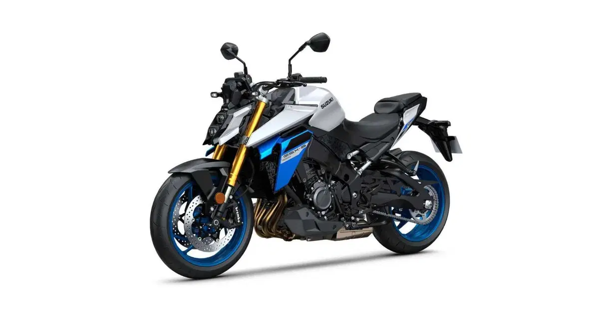 Suzuki GSX-S1000 GSX-S1000 EVO (2025 - 26) (7)