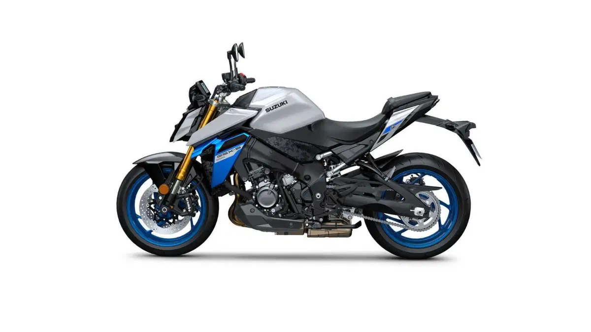Suzuki GSX-S1000 GSX-S1000 EVO (2025 - 26) (6)