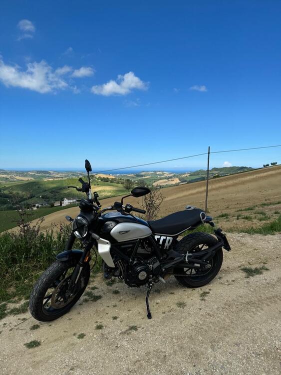 Ducati Scrambler 800 Icon (2023 - 25)