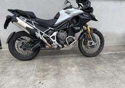 Triumph Tiger 1200 Rally Pro (2024 - 25) usata
