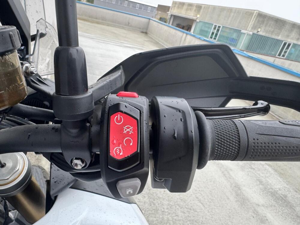 Triumph Tiger 1200 Rally Pro (2024 - 25) (3)