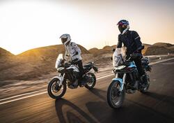 Morbidelli T352X (2026) nuova