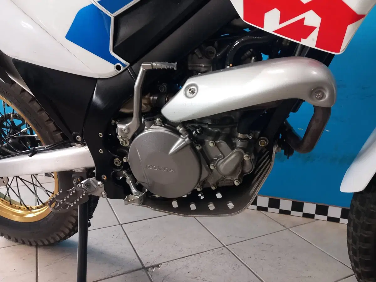 Montesa 4 Ride 260 (2019 - 20) (16)