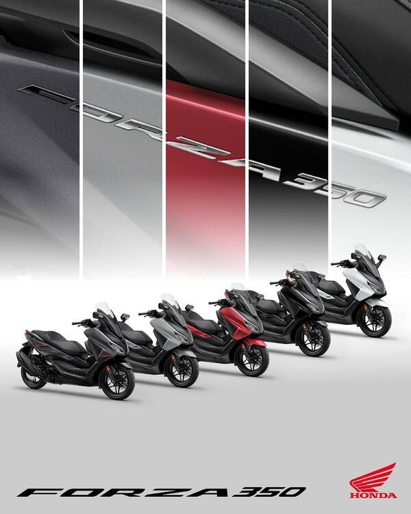 Honda Forza 350 (2025) (3)