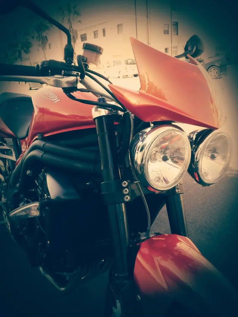 Triumph Speed Triple 1050 (2005 - 11)