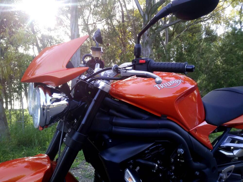 Triumph Speed Triple 1050 (2005 - 11) (4)