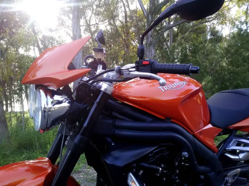 Triumph Speed Triple 1050 (2005 - 11) (4)