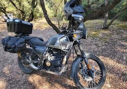 Royal Enfield Himalayan 411 (2021 - 24) usata
