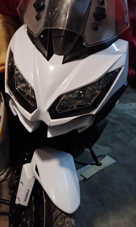 Kawasaki Versys 650 ABS (2015 - 16) (2)