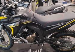 Voge Valico 300 Rally (2022 - 25) nuova