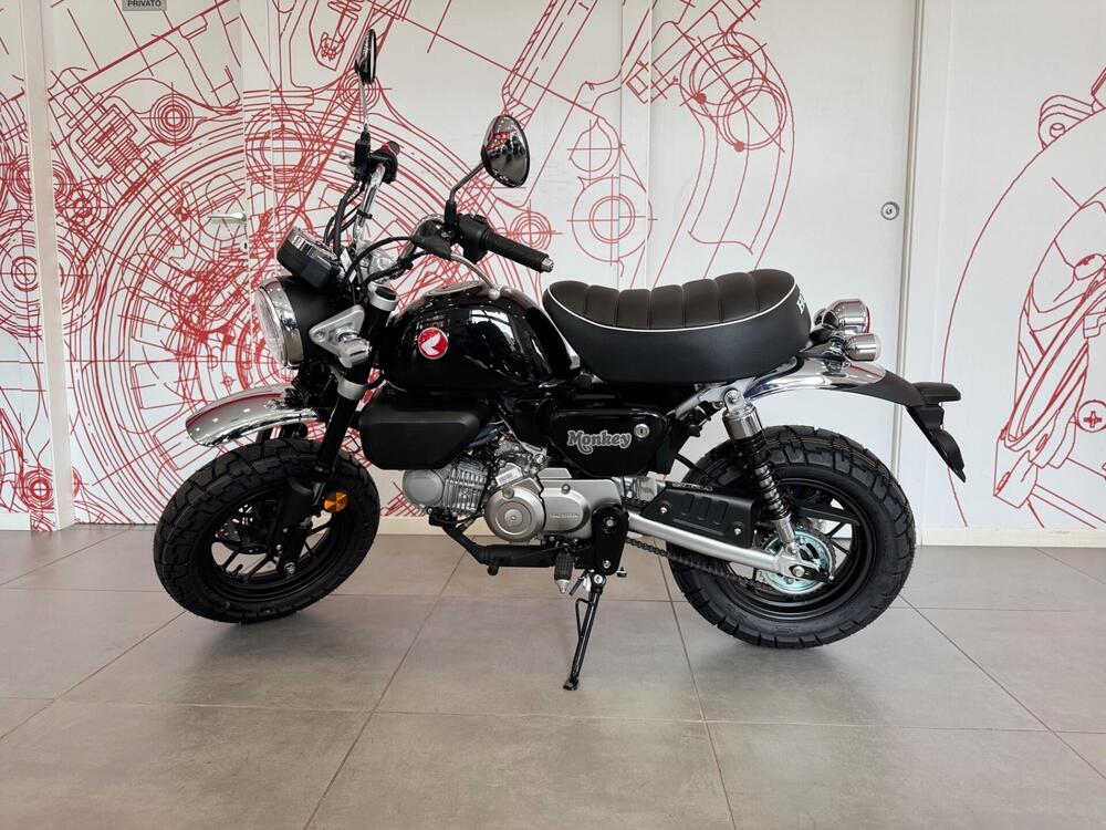 Honda Monkey 125 (2025) (4)