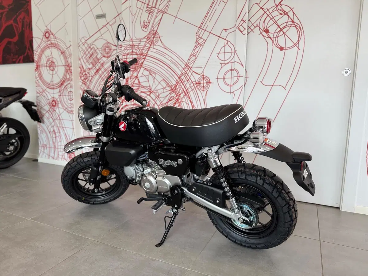 Honda Monkey 125 (2025 - 26) (6)
