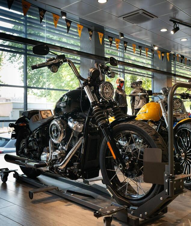 Harley-Davidson Street Bob 117 (2025)