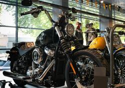 Harley-Davidson Street Bob 117 (2025) nuova