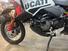 Ducati DesertX Rally (2024 - 25) (15)